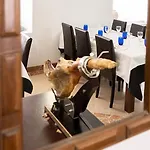 فندق Palacio Baron De Andilla Valdealgorfa